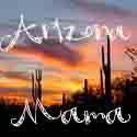 Arizona Mama Blog: Senseez, the Vibrating Pillow for Kids