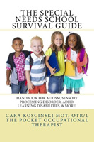 Special Needs School Survival Guide (book that recommends Senseez)